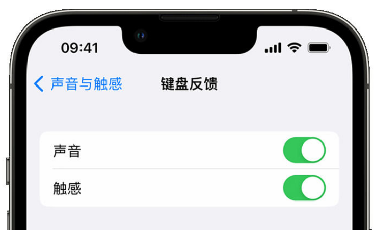 河北苹果手机维修分享iPhone 14触感键盘使用方法 