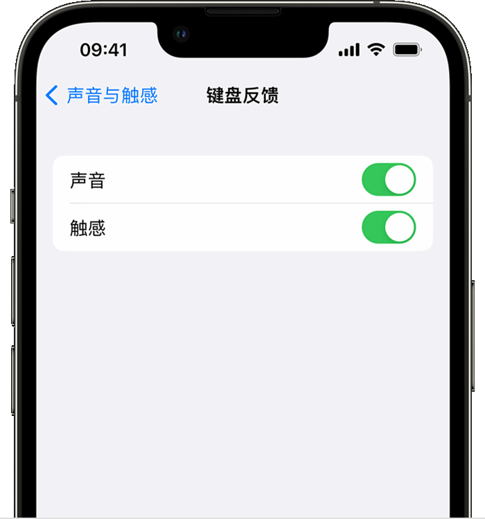 河北苹果14维修店分享如何在 iPhone 14 机型中使用触感键盘 