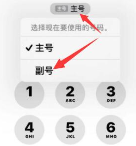 河北苹果14维修店分享iPhone 14 Pro Max使用副卡打电话的方法 