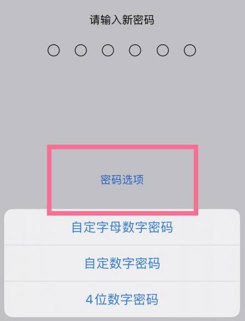 河北苹果14维修分享iPhone 14plus设置密码的方法 