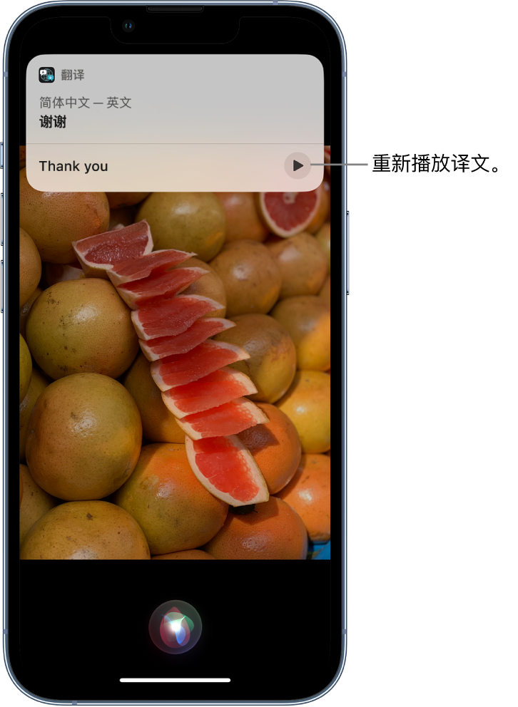 河北苹果14维修分享 iPhone 14 机型中使用 Siri：了解 Siri 能帮你做什么 