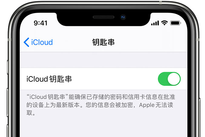 河北苹果手机维修分享在 iPhone 上开启 iCloud 钥匙串之后会储存哪些信息 