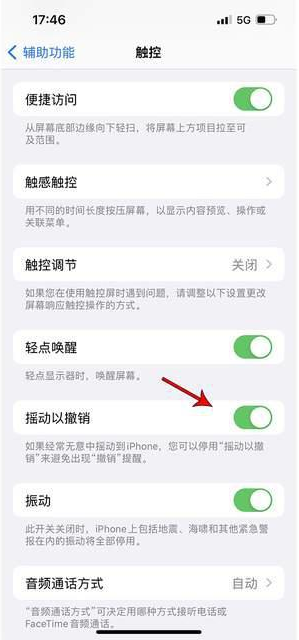 河北苹果手机维修分享iPhone手机如何设置摇一摇删除文字 