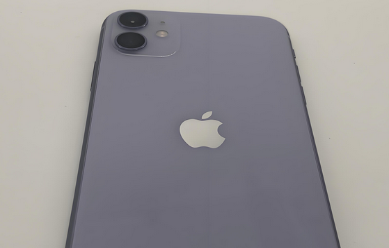 河北苹果11系统维修分享iPhone11手机系统崩溃无法开机如何解决